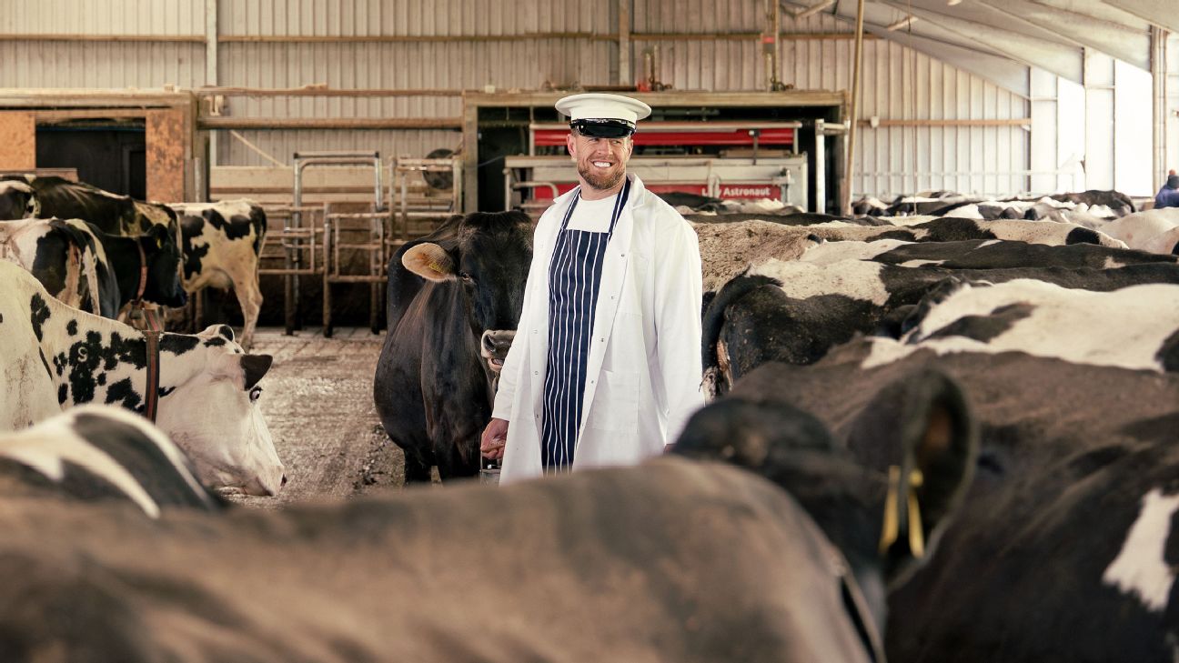 蓝火体育官网 - 体育馆体育官网-手机版